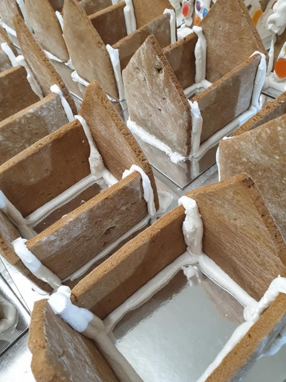 Gingerbread houses in the making